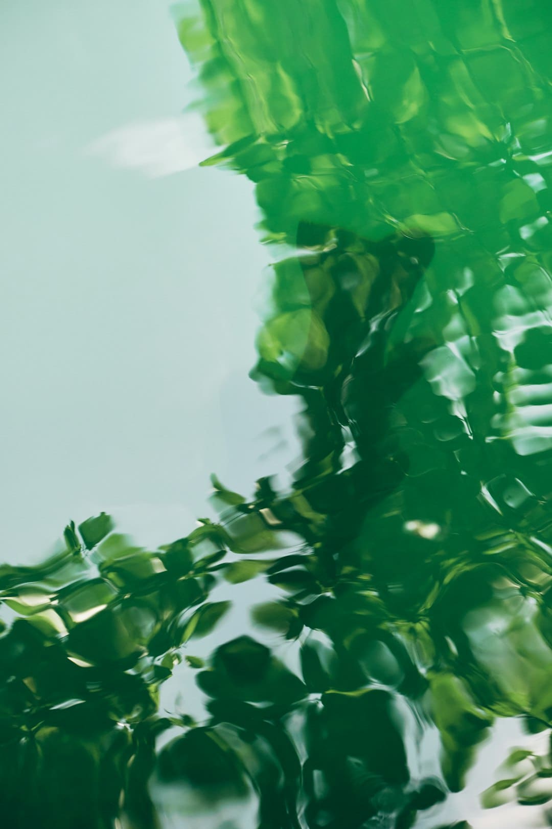 盯着拾荒老人不放，是怜悯？还是想遮羞？